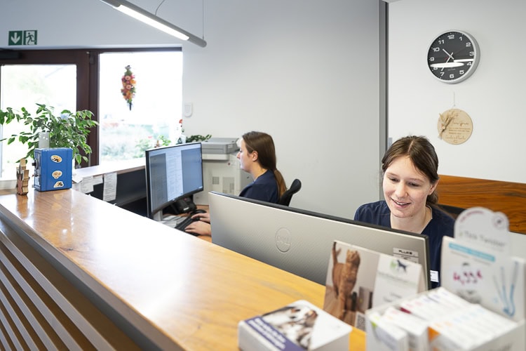 rezeption